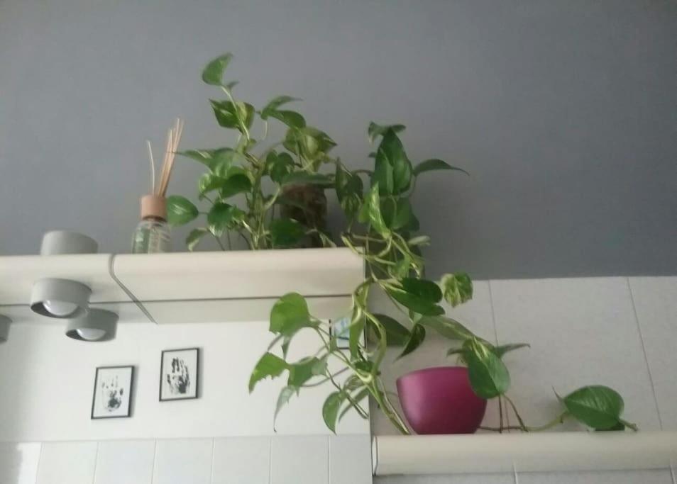 Mascagni Rooms Florence Ngoại thất bức ảnh